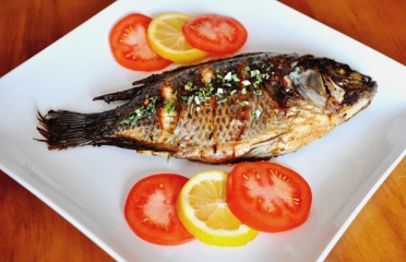 RAPID FOOD